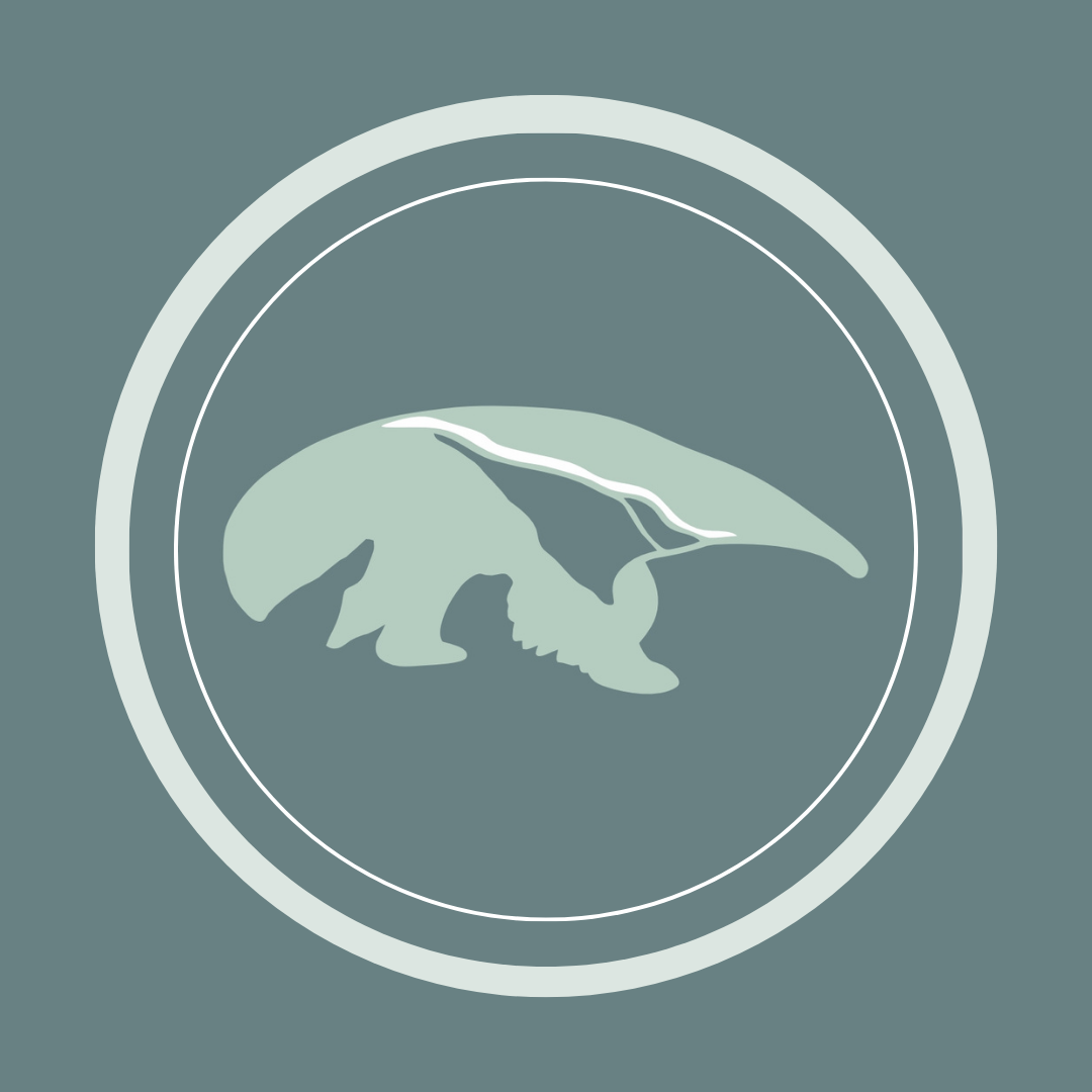 Logo Toca
